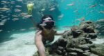 GoPro ABDIV-001 Premier Protecting Housing for HERO7 Silver/HERO7 White, Final Water and Filth Safety- Clear - Image 5