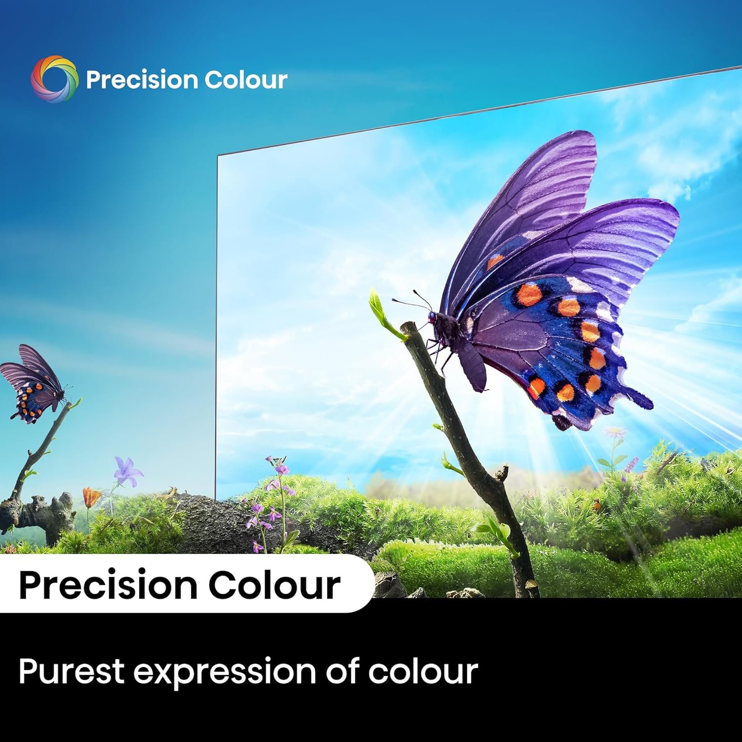 Hisense 164 cm (65 inches) E6N Sequence 4K Extremely HD Good LED Google TV 65E6N (Black) - Image 14