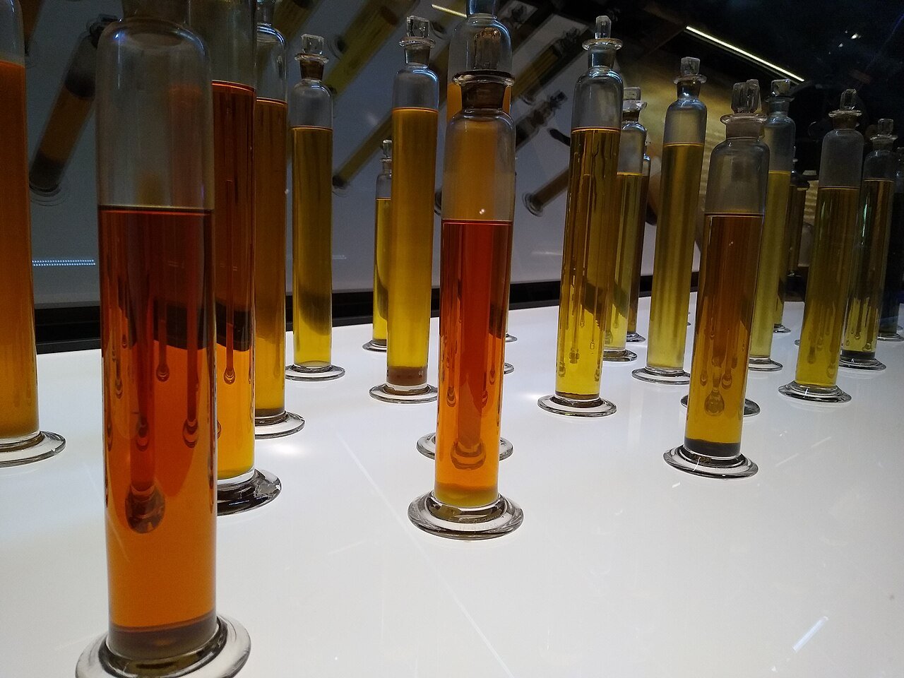 Rows of essential oil bottles similar to ingredients used in nail care oils