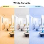 Purchase wipro 9W Bluetooth Enabled Good Bulb B22 | 16 million Colors | White Tunable (Heat, Impartial & Cool White) | Dimmable | App-Management | Music Sync | Schedule & Scenes | Pack of 1 - Finest Value India | AskMeFlash - Image 5